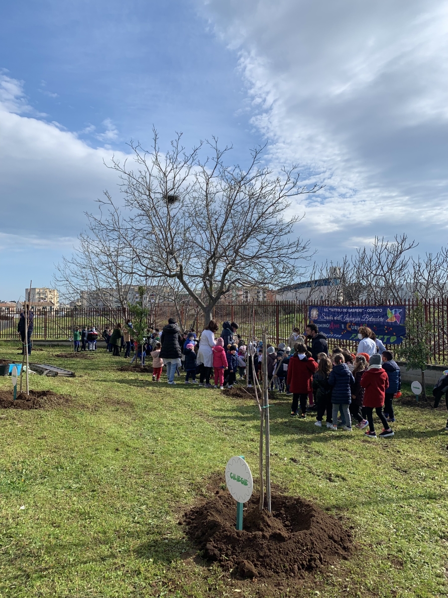 RicominciAMO CON IL PROGETTO DELLA FONDAZIONE CANNILLO